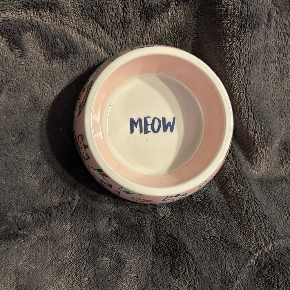 Cat bowl